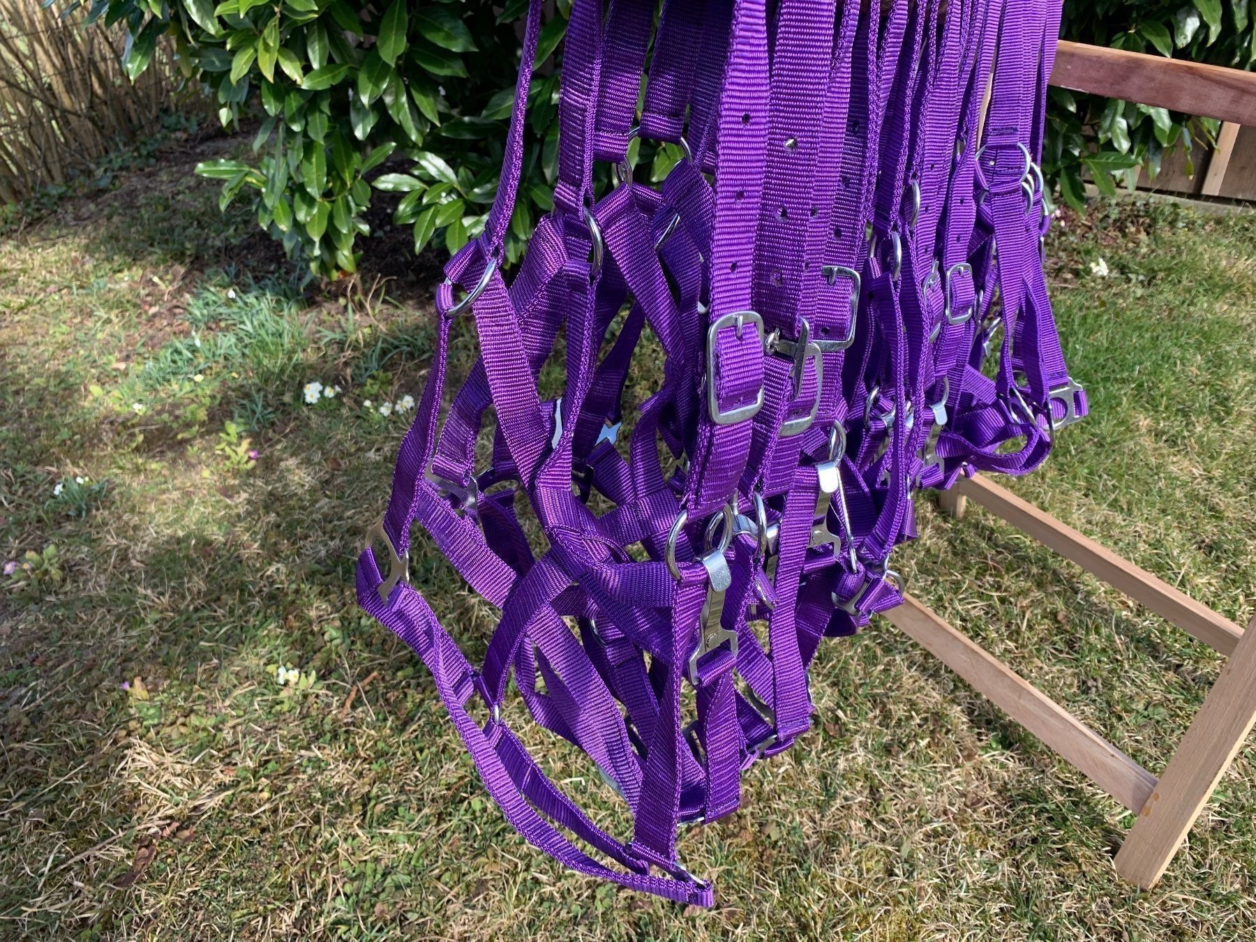 Briglie & Cavezze: 20 schöne Nylonhalftern – Usato da Feldbach venduto da Fea1 6