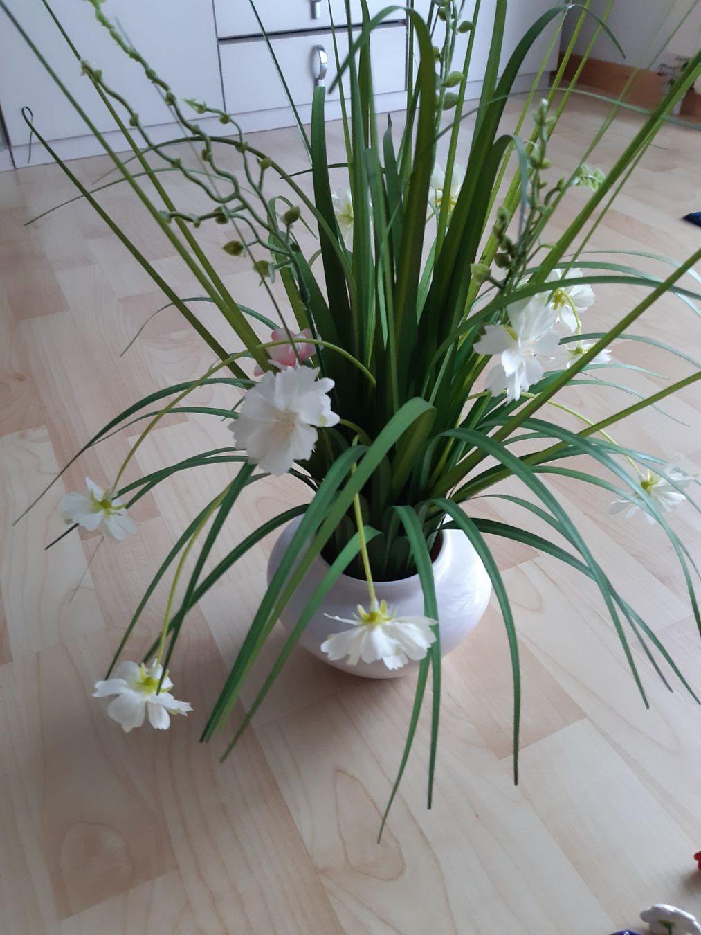 Piante & sementi: Kunstgras mit Blumen – Nuovo (secondo la descrizione) da Altenrhein venduto da theresia11 1