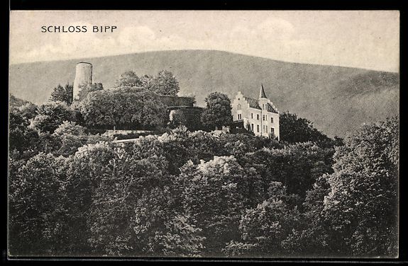 Cartoline postali: AK Bipp, Schloss Bipp, Panorama – Usato da Berlin venduto da bartko-reher