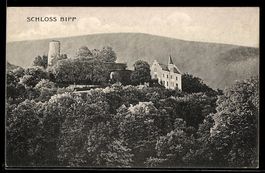 AK Bipp, Schloss Bipp, Panorama
