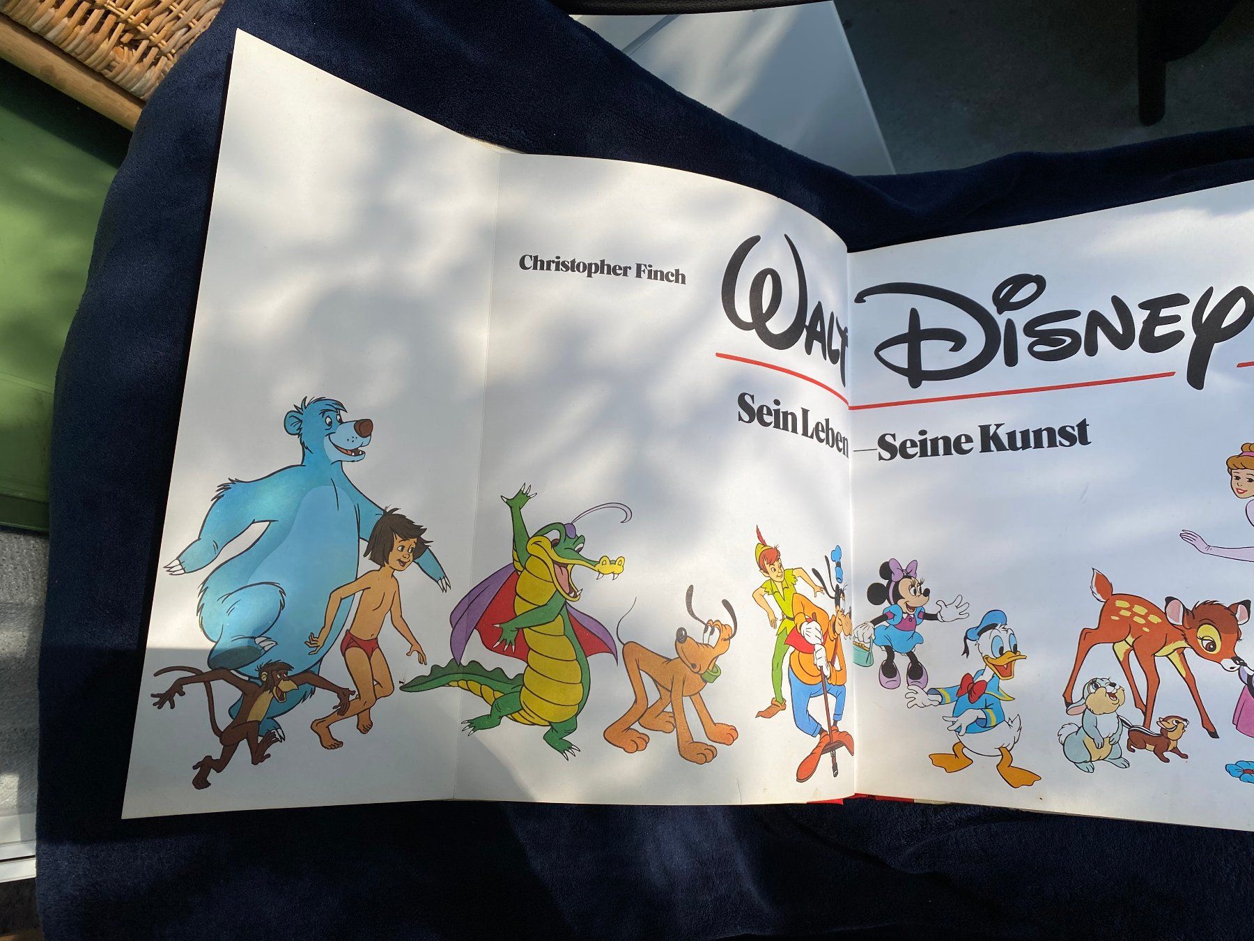 Libri: Walt Disney Sein Leben Seine Kunst – Usato da Zürich venduto da Pyramid1 3