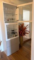Vitrinenschrank mit Glas- und Türenelementen