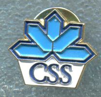 CSS  Logo