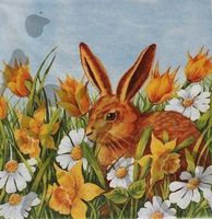 Serviette hase in der wiese (o24) 2Stk.