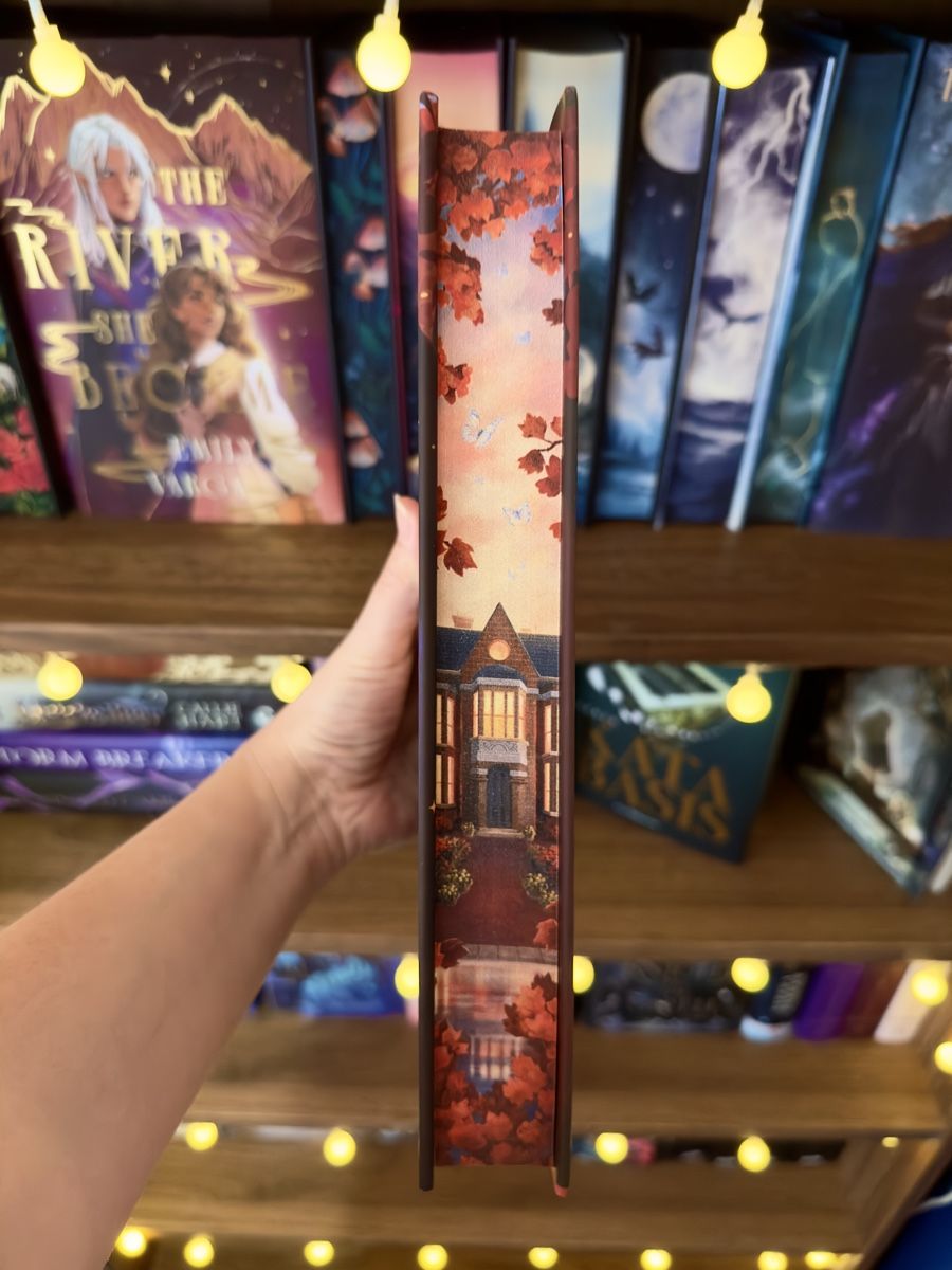 Bücher: FairyLoot Buch - Hawk & Sparrow – Neu (gemäss Beschreibung) aus Bern von moonlab 3
