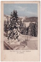 Arosa, Das Eden Hôtel vom Hotel Waldhaus aus Gesehen.  1916