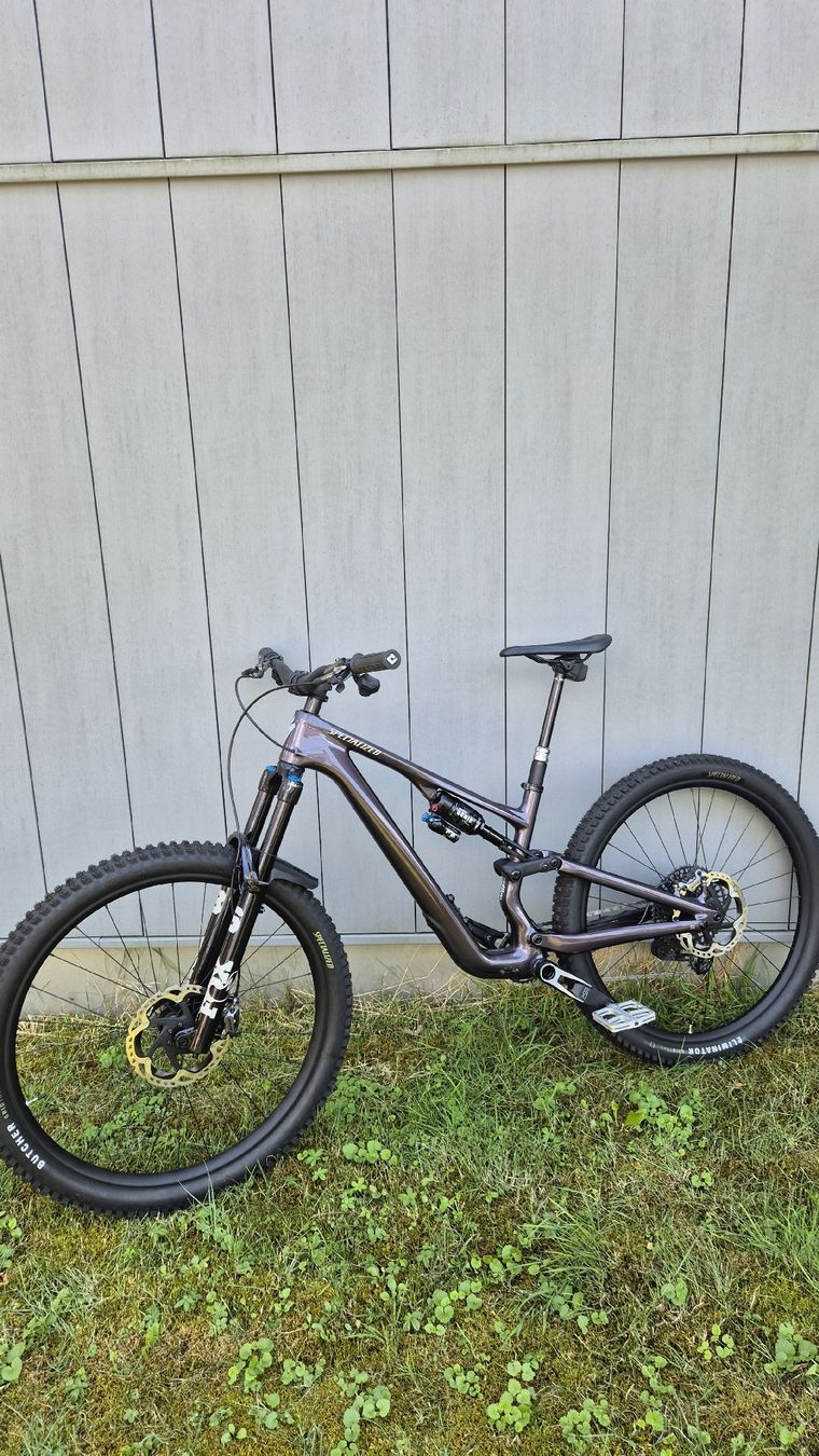 Specialized Biciclette: Specialized Stumpjumper 15 Evo Expert 2026 Custom – Usato da Alpthal venduto da Small_pp 2
