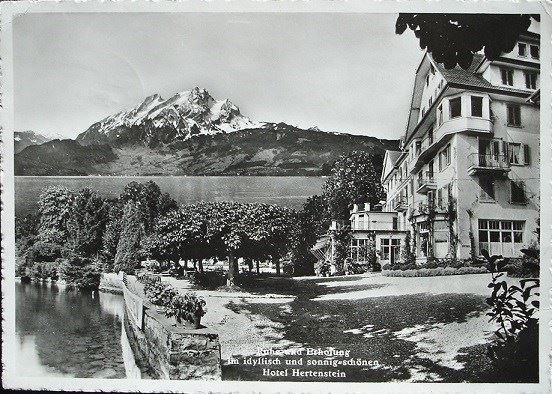 Cartoline postali: HOTEL HERTENSTEIN - K. Jahn – Usato da Jona venduto da philajona