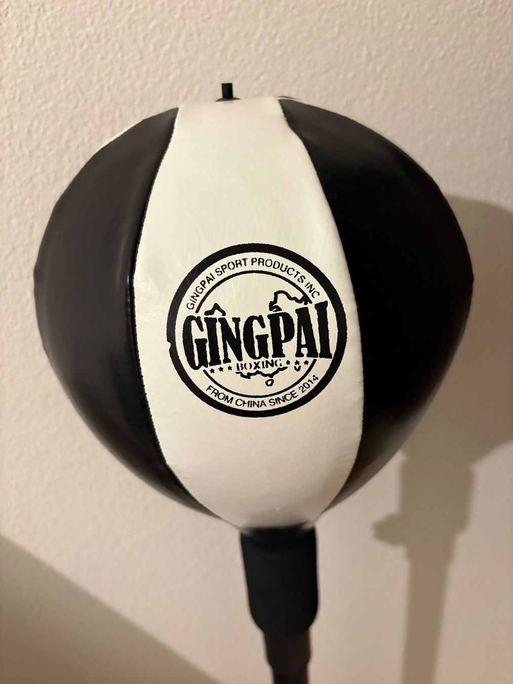 Sacchi da boxe: GINGPAI Punchingball – Usato da Büron venduto da Flor2009 2