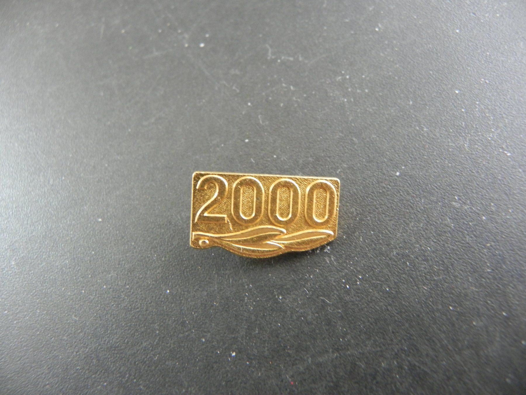 Broches & Aiguilles: Abzeichen Millenium 2000 – D'occasion à Biel/Bienne par Gogolozi