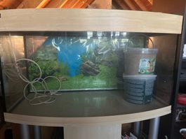 Aquarium mit Gestell