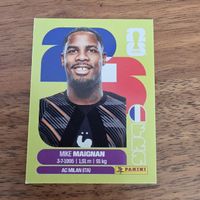 Panini FRA2 Mike Maignan 
