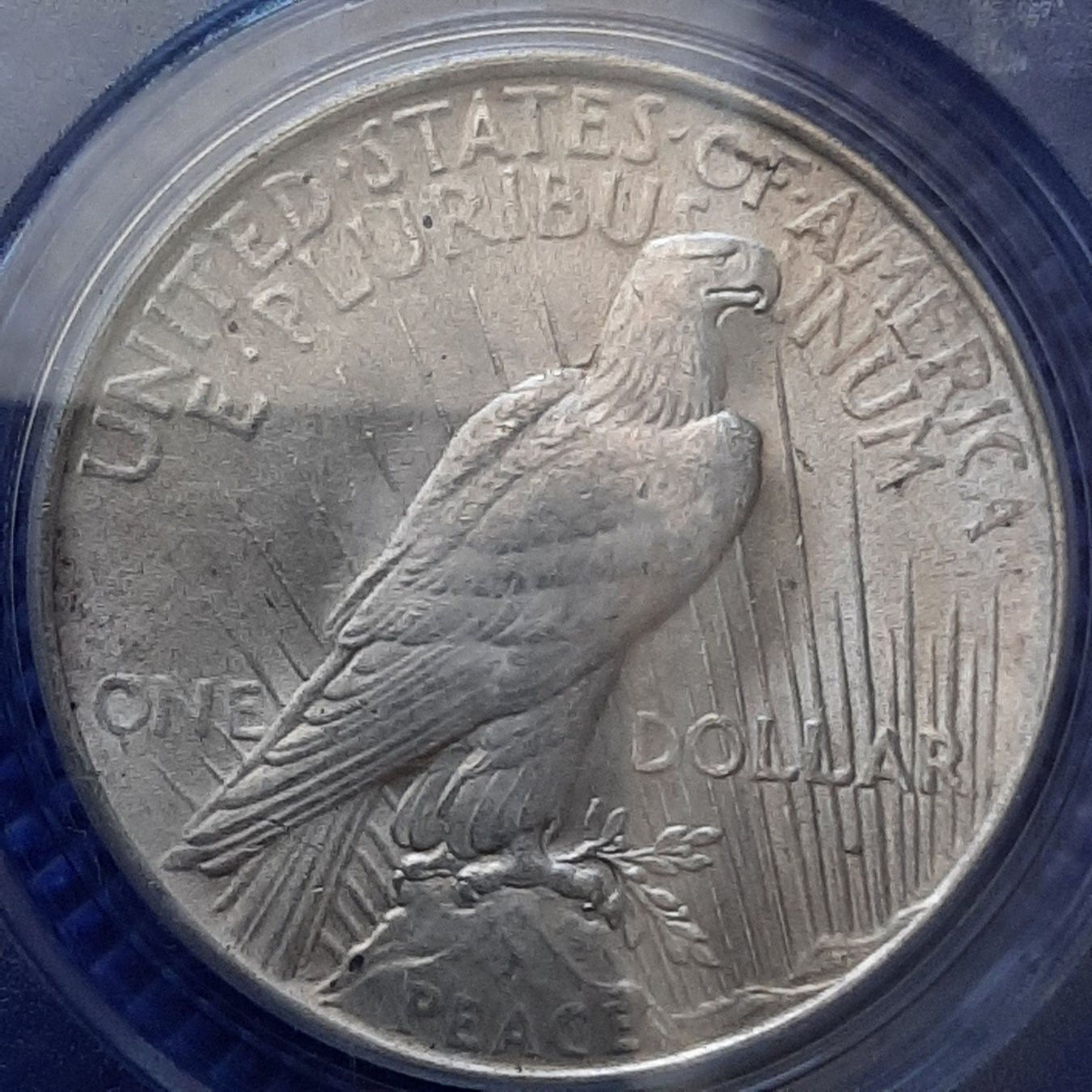 Tutti le monete: USA Peace Dollar 1923 PCGS AU58 – Usato da Carouge GE venduto da cecob0909 3
