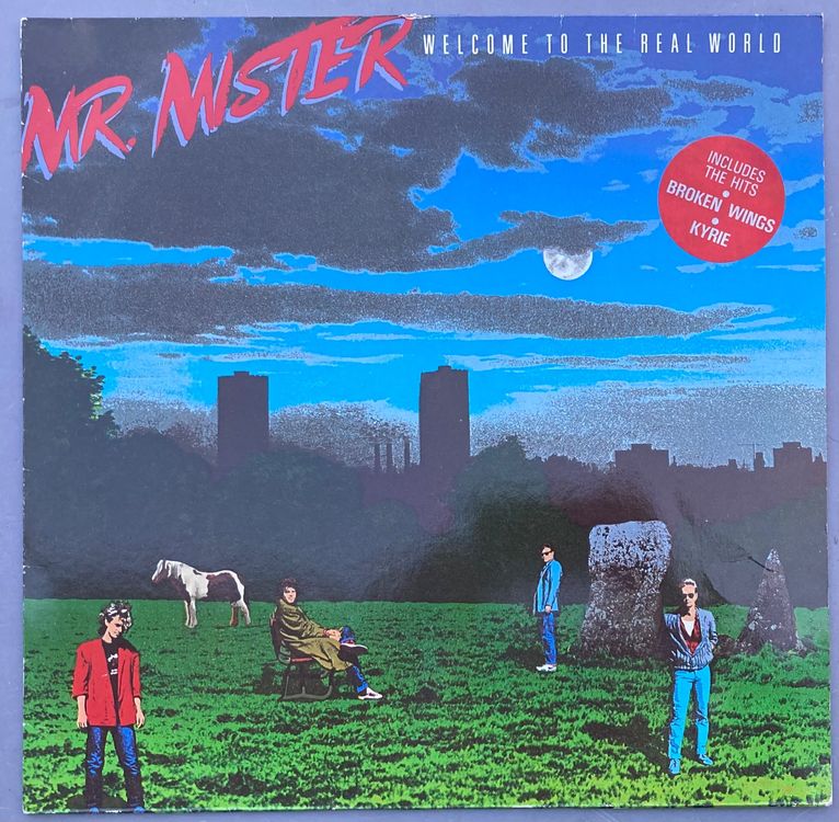 MR. MISTER - WELCOME TO THE REAL WORLD (Gebraucht) in Poliez-Pittet für ...