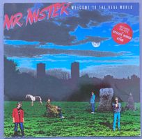 MR. MISTER - WELCOME TO THE REAL WORLD