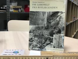 Die Lebewelt des Rotliegenden - Hartmut Haubold, 245 SEITEN