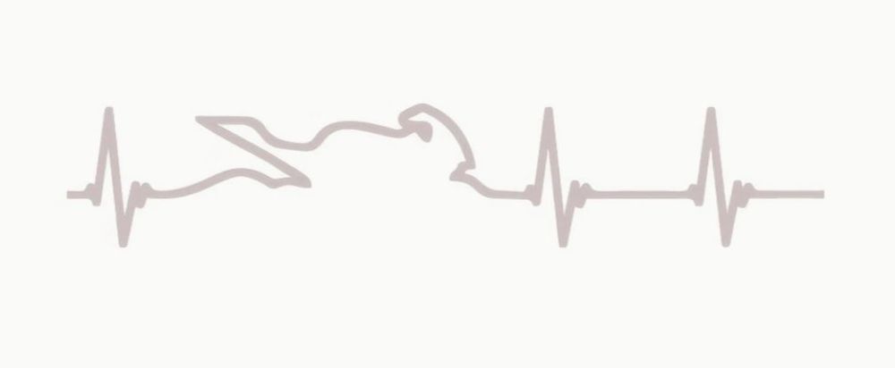 Sticker Motorrad Herzschlag - Für Biker & Töffli-Fahrer! (Neu und ...