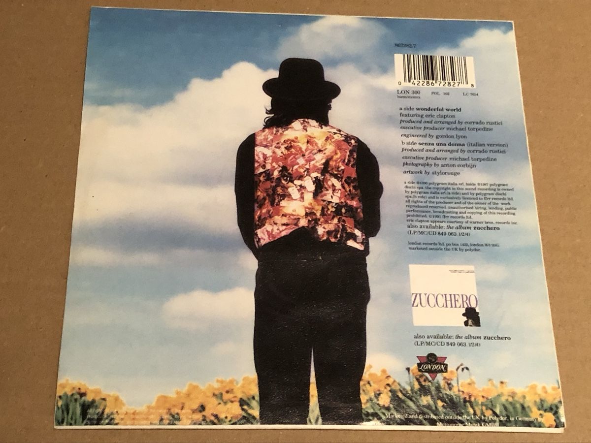 Dischi in vinile: Zucchero & Eric Clapton. 1990. Wonderful World – Usato da Faulensee venduto da Mizuno06 2