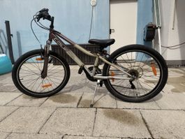 Kinder Velo California Gravity 24", ideal für Frühling