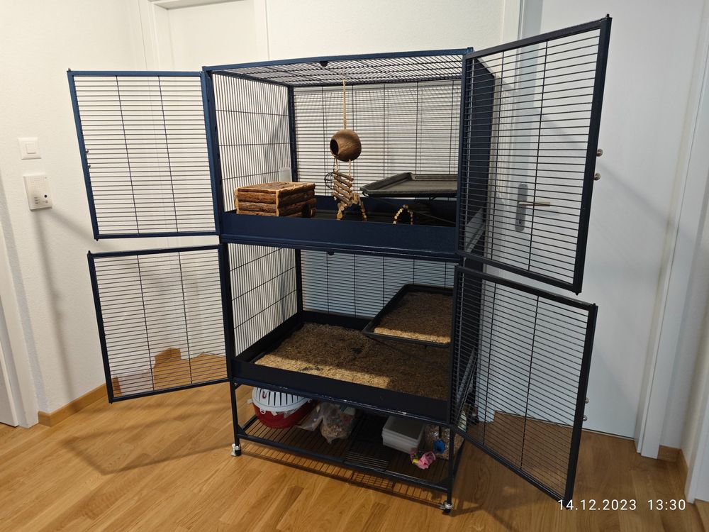 Gorise Vogelschaukel Aus Holz - Mit Glöckchen & Bunten Perlen - Für Sittiche & Wellensittiche