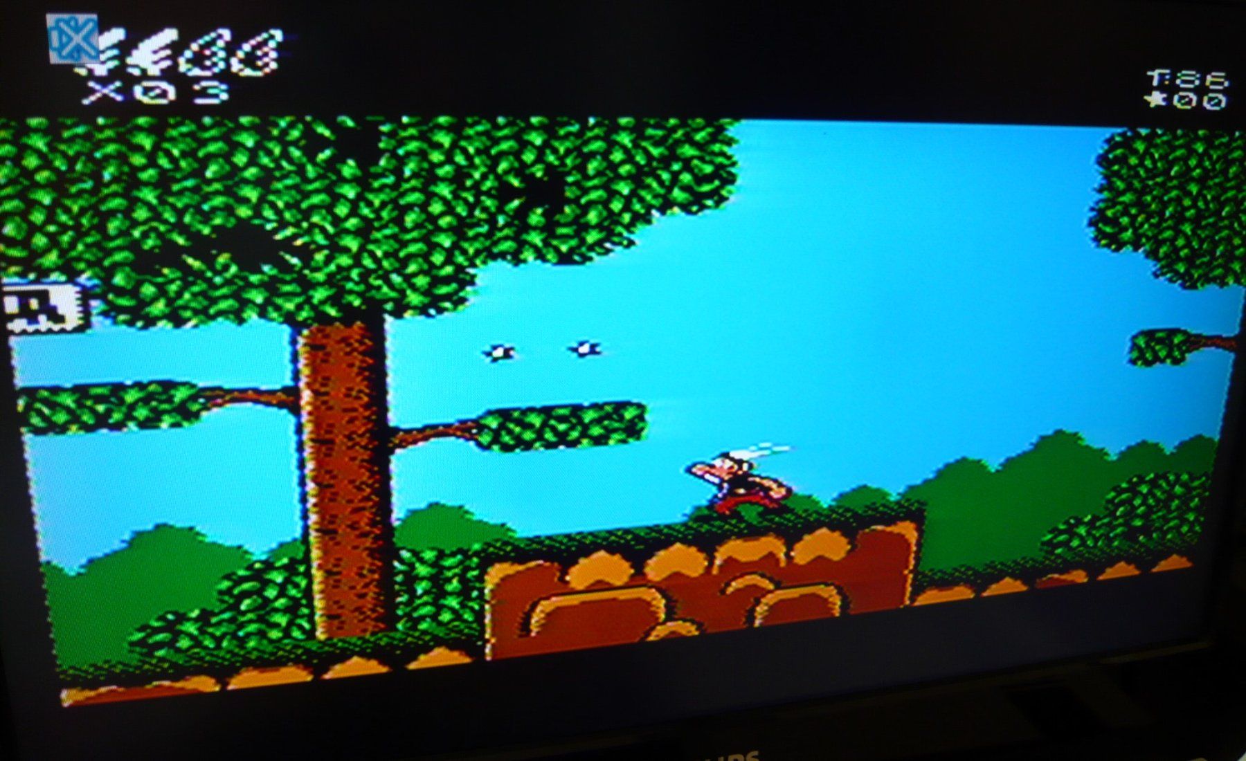 Nintendo Giochi: NES : Asterix – Usato da Onex venduto da Jaguar1986 1