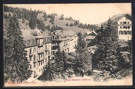 Rigi-Klösterli, Strassenpartie mit Tann