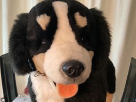 Grosser Bernersennenhund – Stofftier/Kinderspielzeug 70 cm