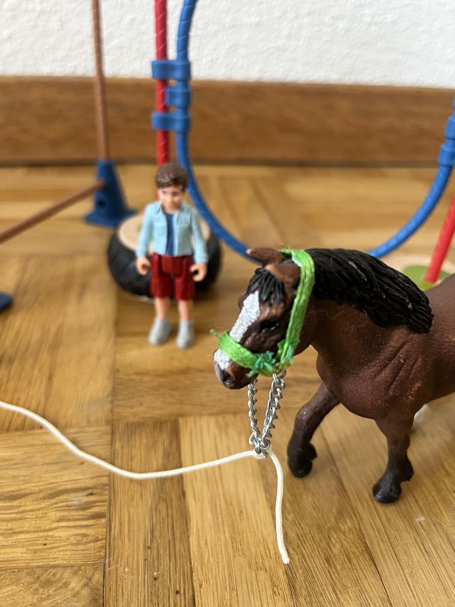 Schleich Giocattoli: Schleich Farm World 42482, Pony Agility – Usato da Reutigen venduto da treu3006 5