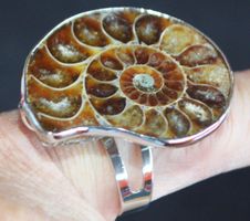 Ring L-395 – Ammonit Fossil –Grössenverstellbar