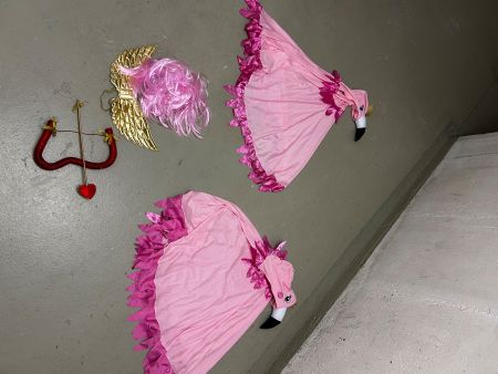 Vendo costume di carnevale , coppia flamingo + cupido
