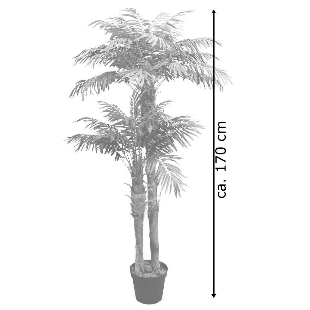 Piante & sementi: Palmenbaum Kunstpflanze 170cm Decovego – Nuovo e nell'imballaggio originale da Bottighofen venduto da zaap 5
