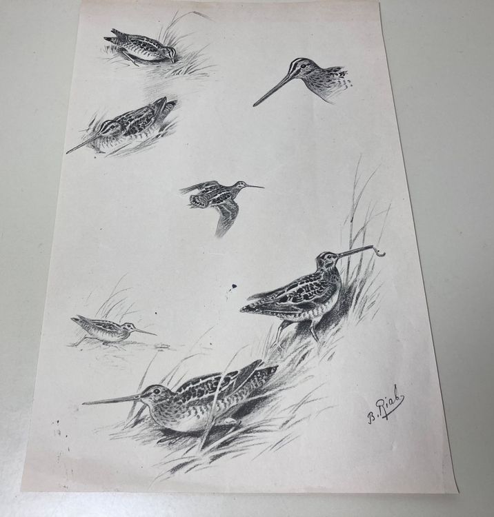BORIS RIAB ANCIENNE GRAVURE ? (Gebraucht) in Martigny für CHF 1 – mit ...