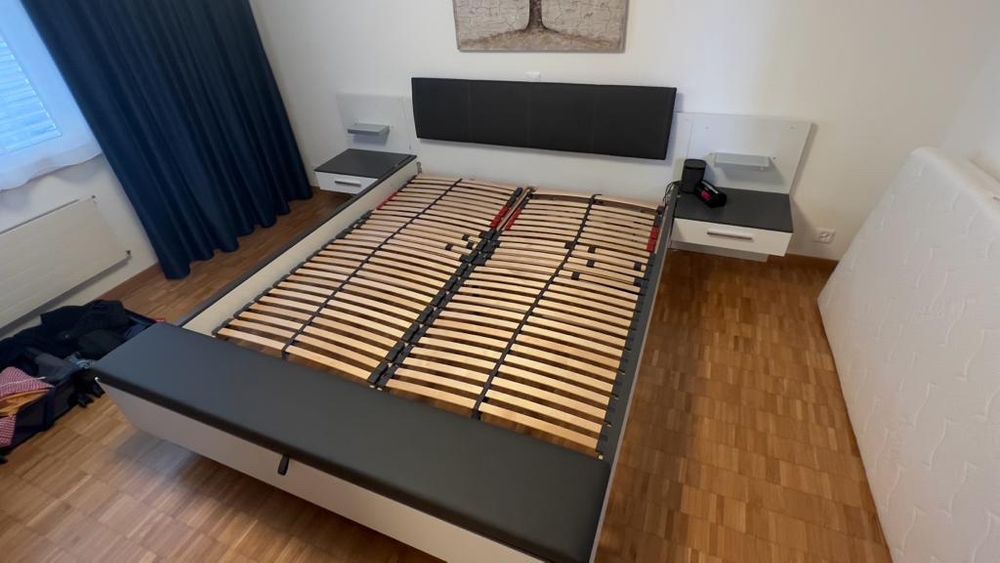 Pappagona Pflaumenbaum – Alte Obstsorte, Im 26-cm-Rasentopf, Bis 180 Cm Hoch, 4 Jahre Anbau Aus Italien