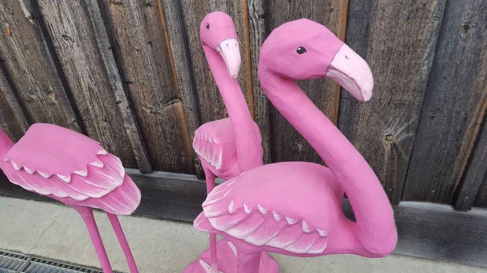 Flamingos Gross Kaufen Auf Ricardo