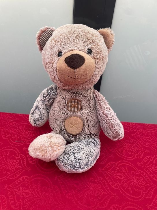 Giocattoli: Teddy Bär Plüschtier ca 40cm – Usato da Bergdietikon venduto da antovale