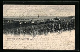 Benken, Blick zum Ort hinüber vom Weinb