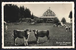 Egg, Pfannenstiel, Kurhaus Hochwacht mit