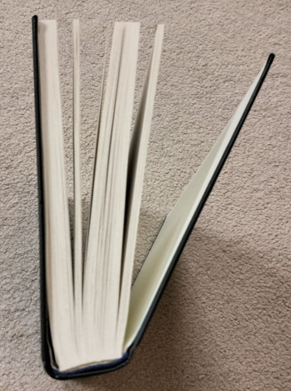 Libri: Buch "Alfred Adler" von Phyllis Bottome – Usato da Muri AG venduto da Thuja99 3