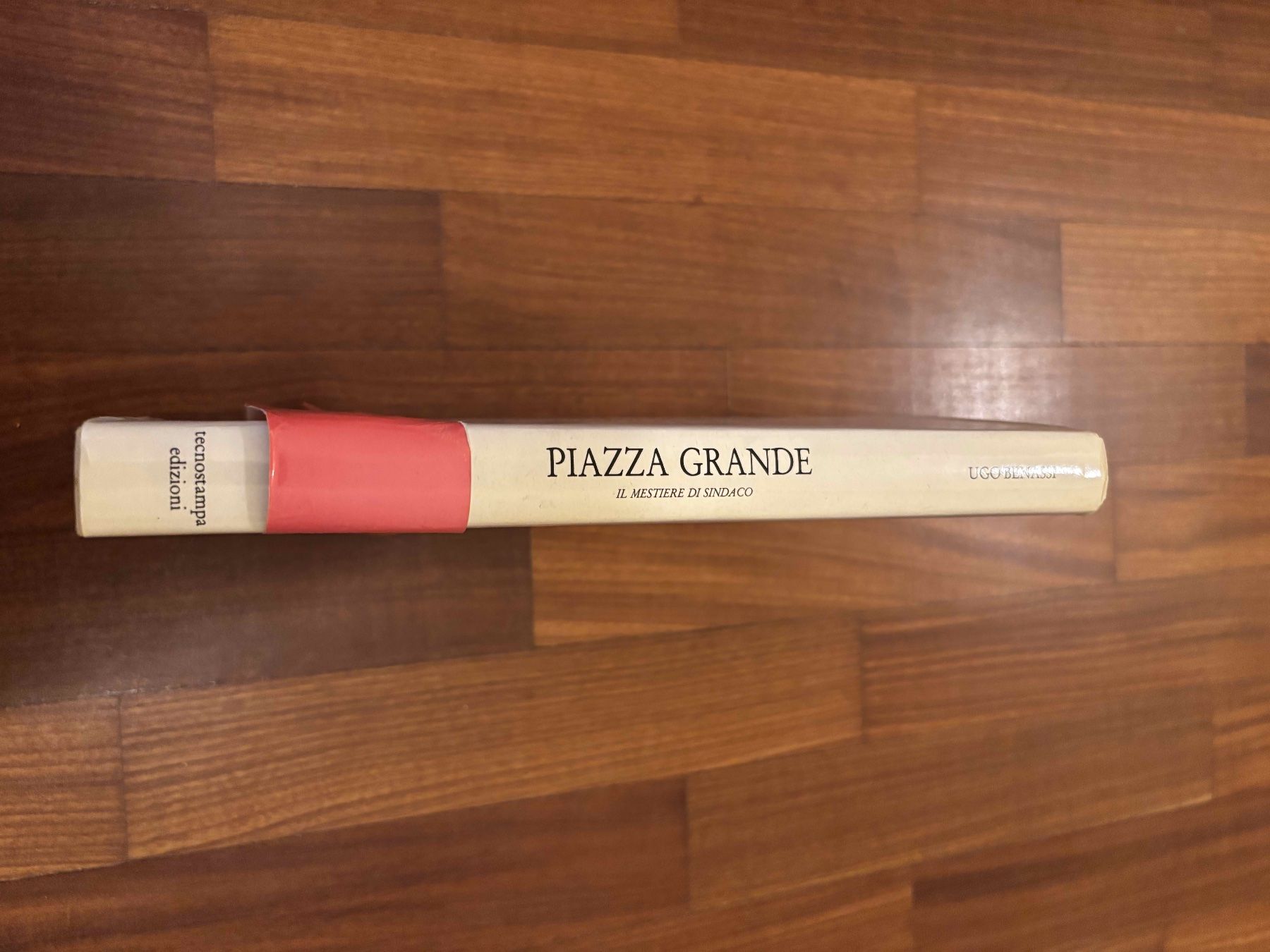 Libri: Piazza Grande il Mestiere di Sindaco – Usato da Lugano venduto da Mark_Young 1