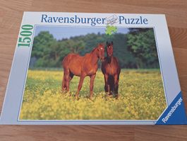 Ravensburger Puzzle guter Zustand