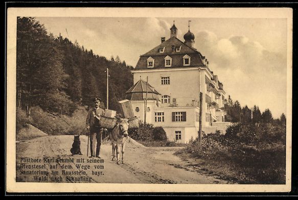 Ansichtskarten: Sanatorium am Hausstein /Bayr. Wald, Pos – Gebraucht aus Berlin von bartko-reher