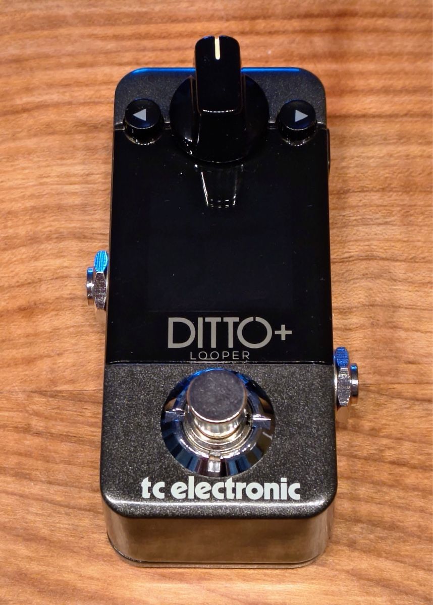 Musikinstrumente: TC Electronic Ditto+ Looper (modifiziert) – Gebraucht aus Unterägeri von Vivi55vivi