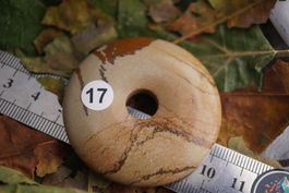 Jaspis mit Landscahaft  Donut   pi Scheibe      50mm Ab 1.-