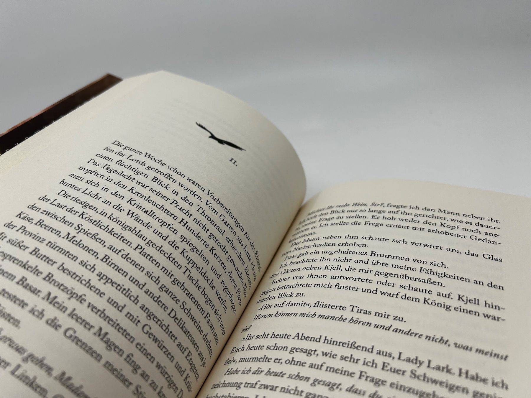 Libri: Bird & Sword (Amy Harmon) – Usato da Pfeffingen venduto da guvalia 4