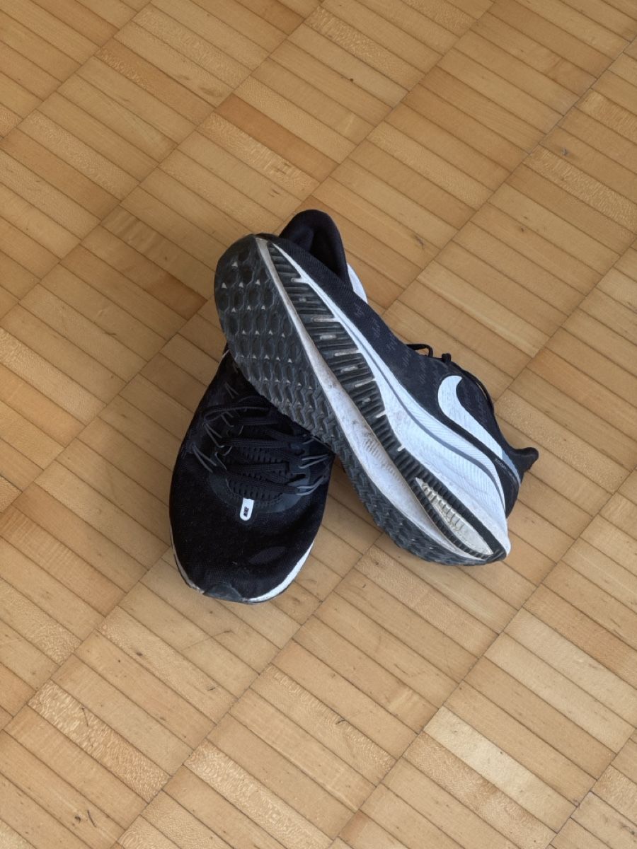 Chaussures hommes: Nike Zoom 44 – D'occasion à Zürich par nicola.witzig