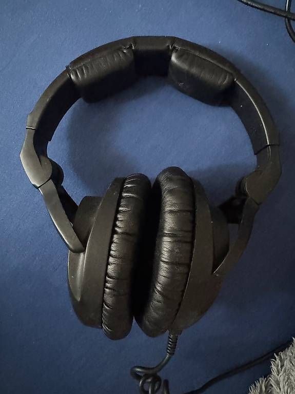 Cuffie: Sennheiser HD-300 PROtect – Usato da Reinach BL venduto da j_7fjs