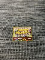 Carte Panini 2026 - BRAZIL 1994 - FWC 15