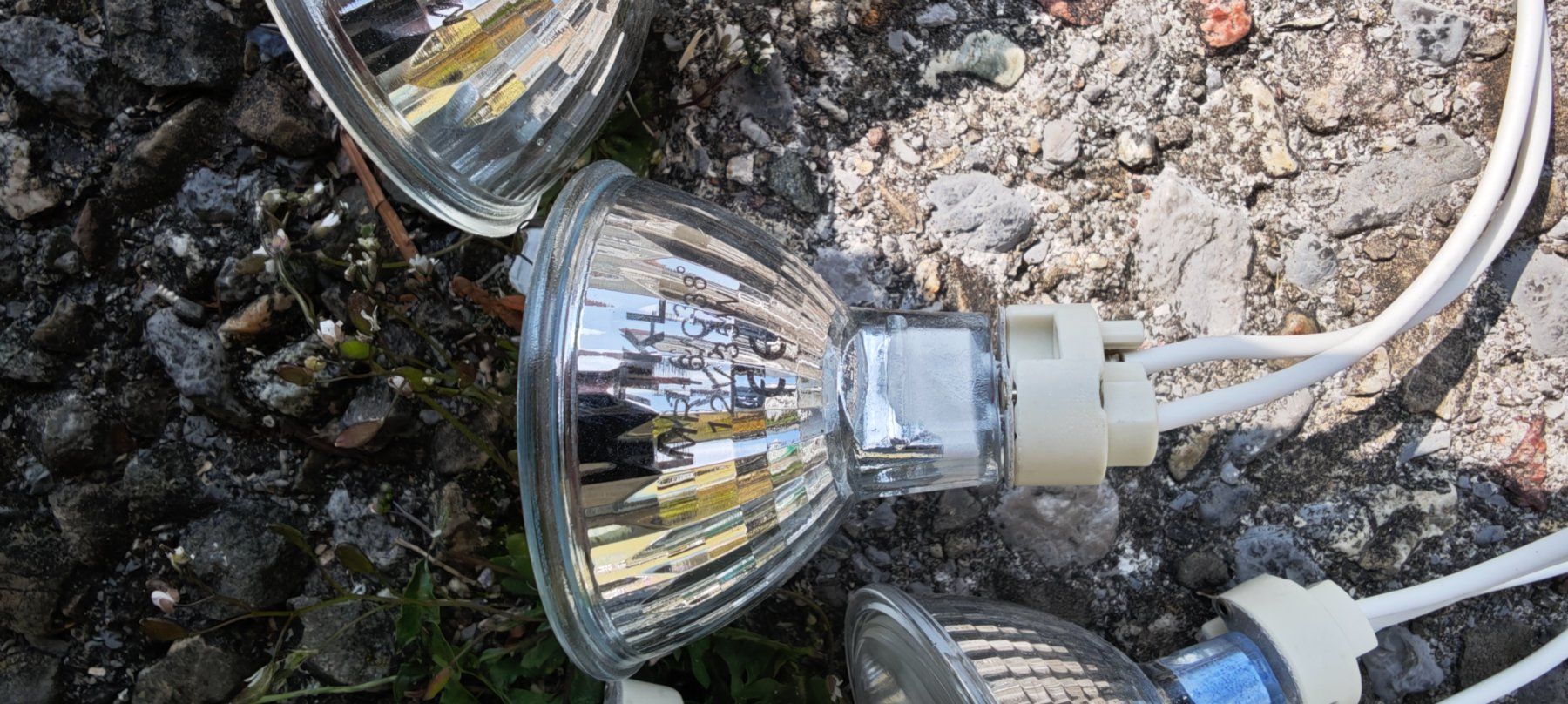 Lampade: LED GU10 450lm 3000K  12V 35W – Usato da Rieden SG venduto da wer_yqc2 2