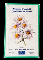 Blumen-Quartett Pia Roshardt Quadrille fleurs PAPYRIA No. 82