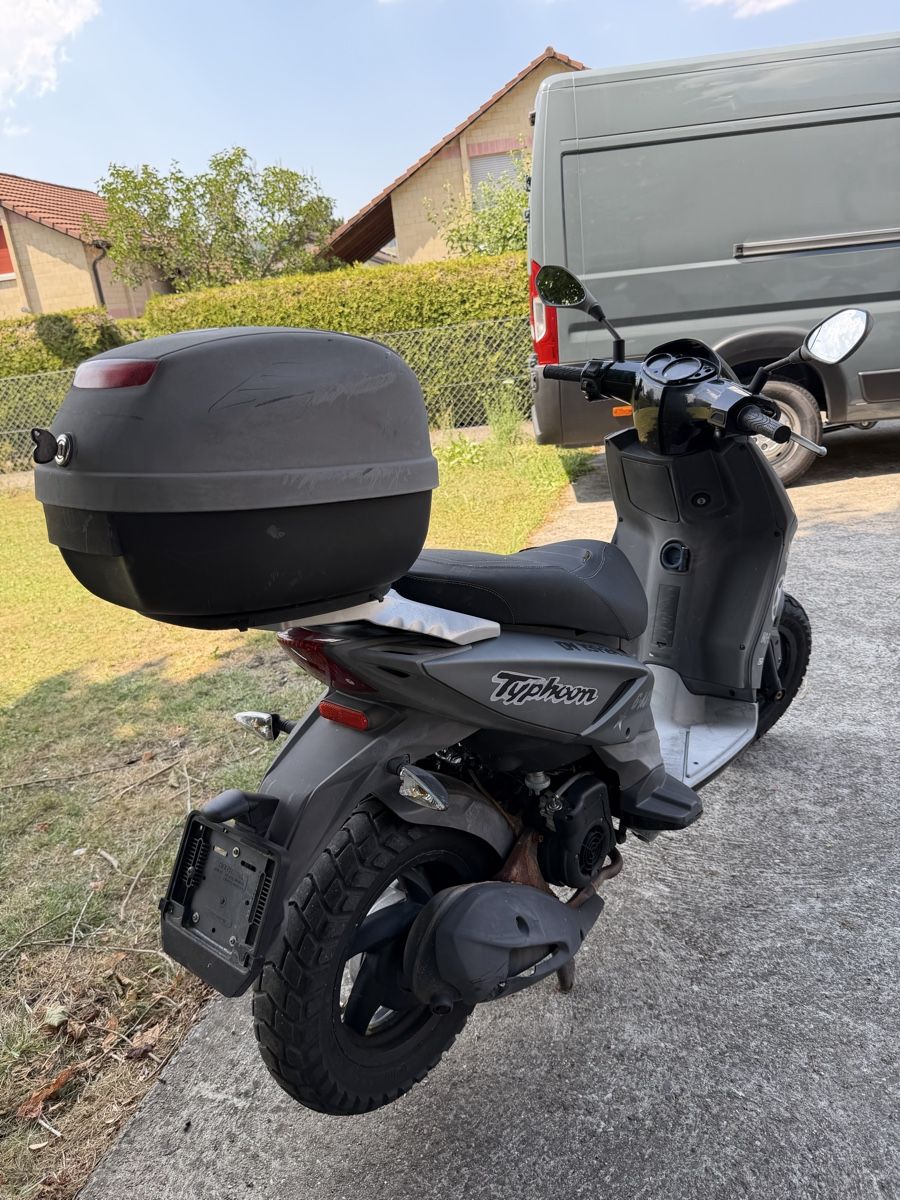 Piaggio Scooter: Piaggio Typhoon 125 / 10’200 / 2013 – Usato da Courtételle venduto da claude41 4